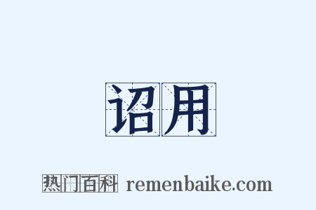 诏用是什么意思的图片